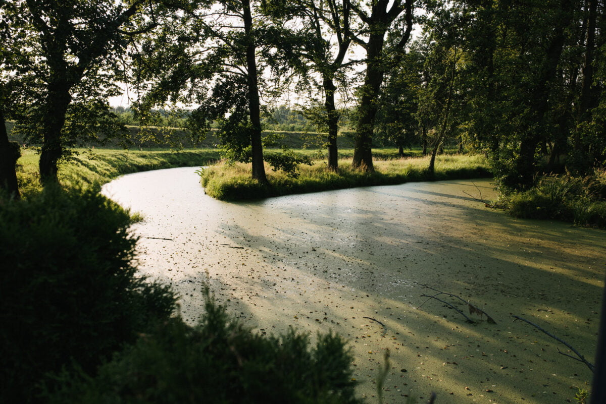 kasia maciej reportaz slubny 199