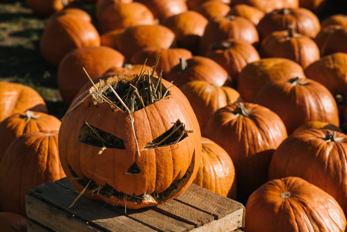 sesja fotograficzna jesień