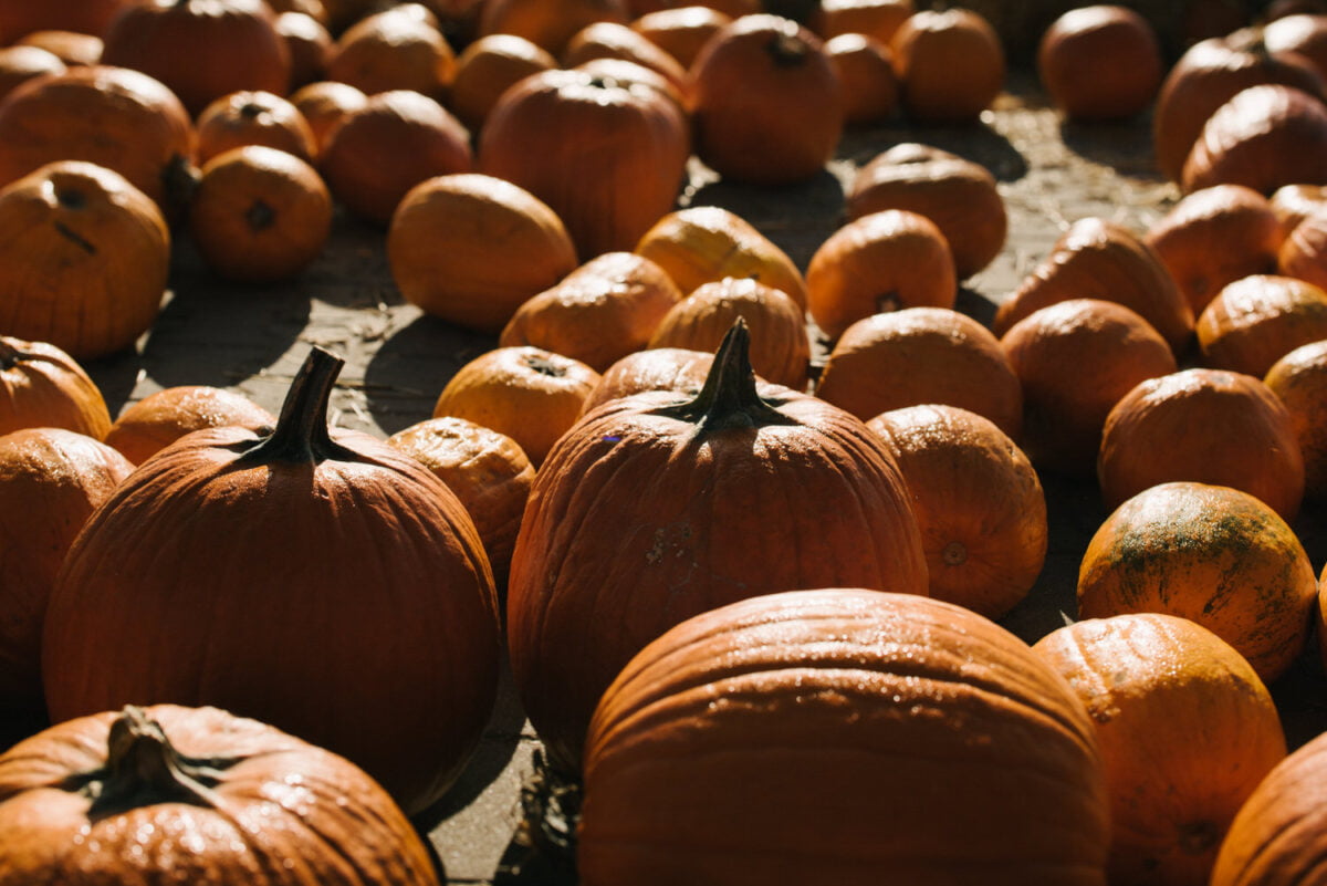 maja lukasz sesja narzeczenska 45